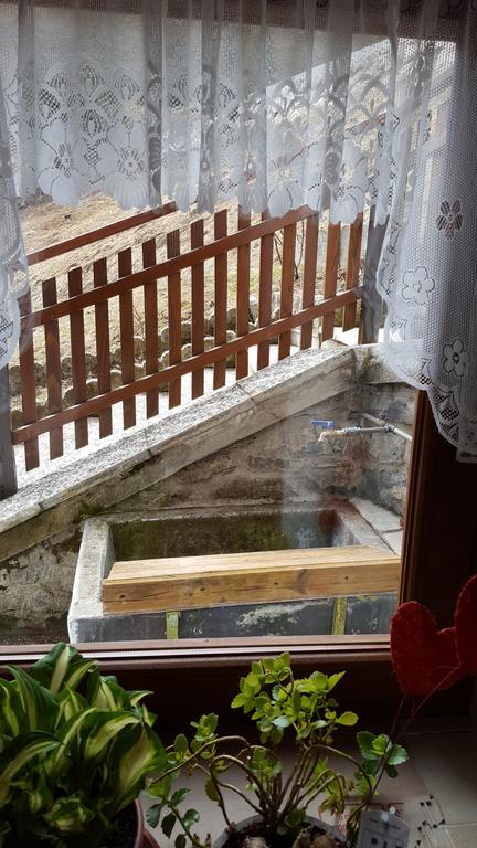 Ospitalita Diffusa Laste Dolomites - Cesa Murer Pallua Luaran gambar